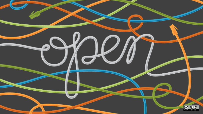 Schwerpunkt: Inhalte im Netz